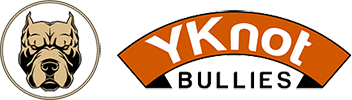 Y Knot Bullies